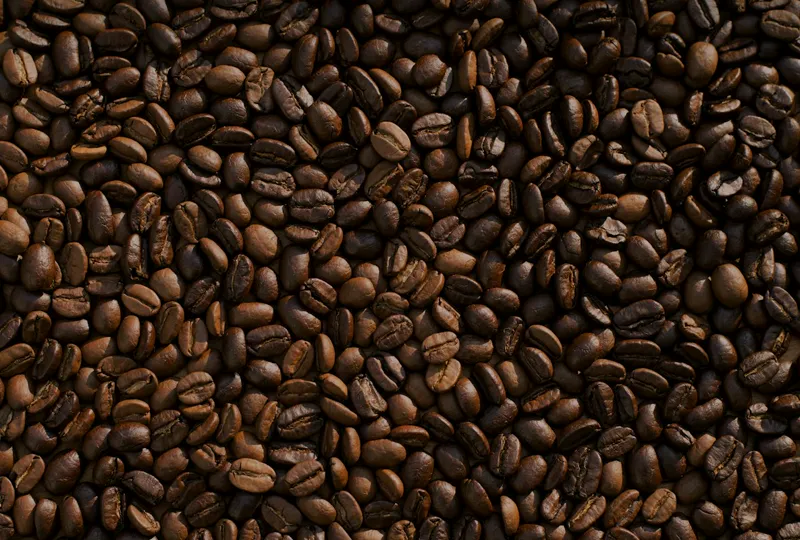 Grãos de café torrados