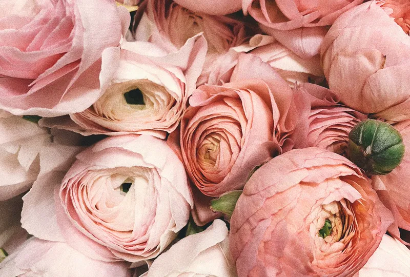Ramalhete com flores rosa, amarela e roxa